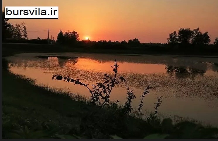 نور